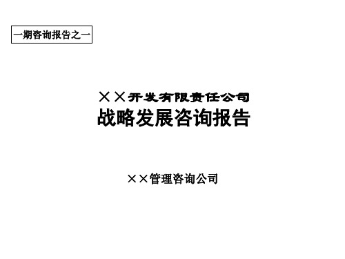 ××公司战略发展咨询报告(推荐PPT239)