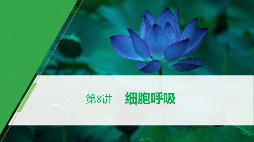 2020高考生物人教(湖北)课件第三单元 第8讲