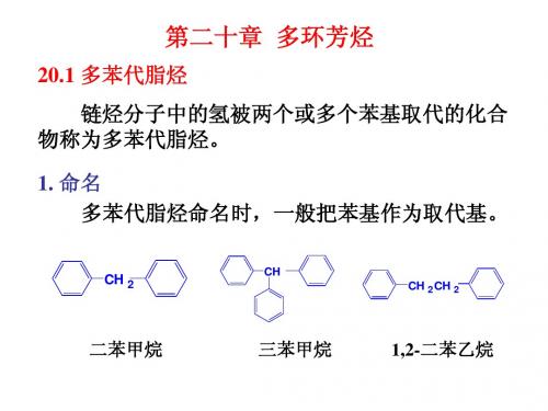 20-多环芳烃