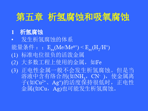 金属腐蚀与防护 第5章 析氢腐蚀和吸氧腐蚀