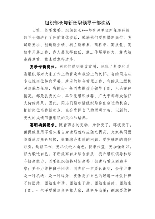 组织部长与新任职领导干部讲话1