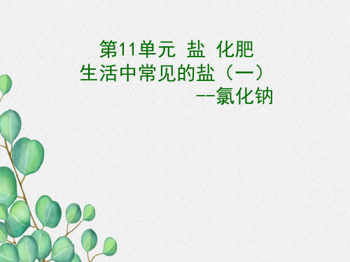 《生活中常见的盐(一)课件》课件 2022年人教版省一等奖PPT