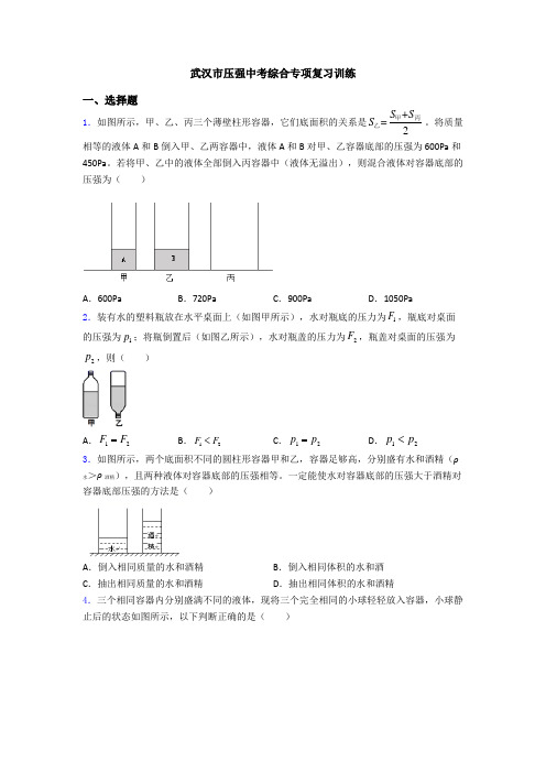 武汉市压强中考综合专项复习训练