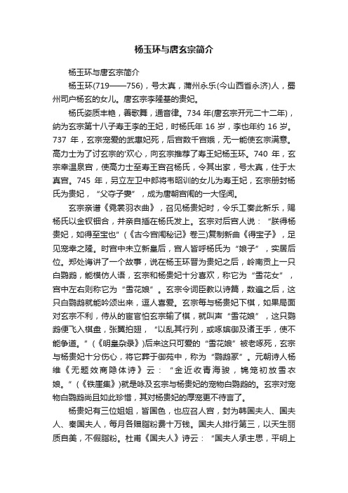 杨玉环与唐玄宗简介