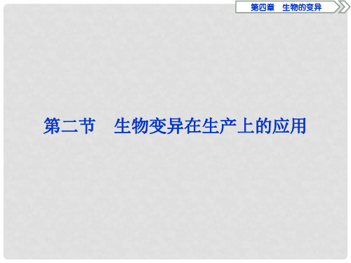 2019-2020学年高中生物 第四章 生物的变异 第二节 生物变异在生产上的应用课件 浙科版必修2