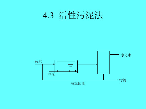 环境化学工程 课件 第4-3 活性污泥