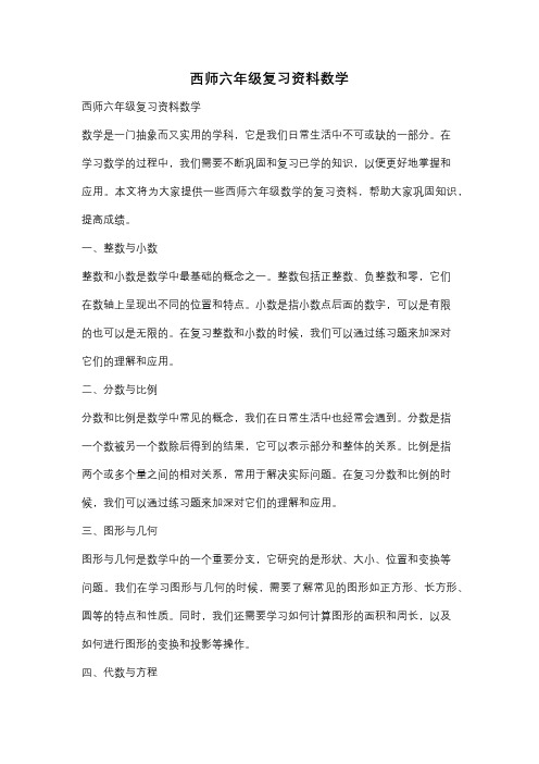 西师六年级复习资料数学