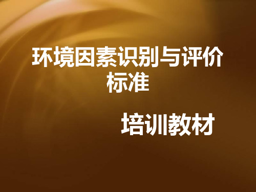 环境因素识别与评价标准(PPT31页)