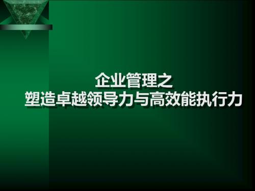 塑造卓越领导力与高效能执行力PPT(共 66张)