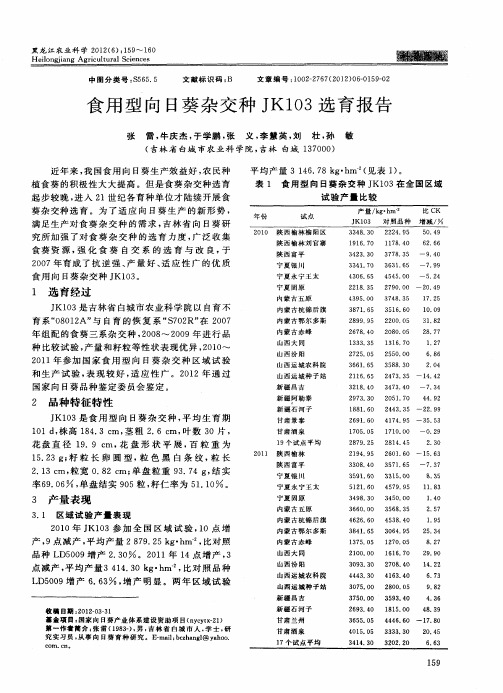 食用型向日葵杂交种JK103选育报告