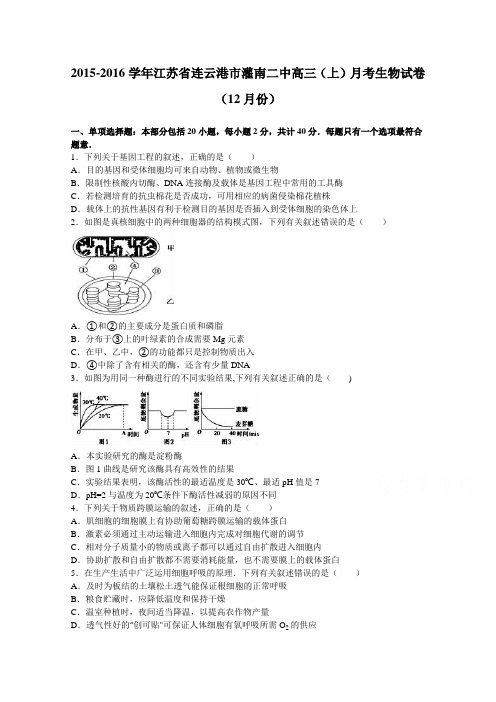 江苏省连云港市灌南二中2016届高三上学期月考生物试卷(12月份) 含解析