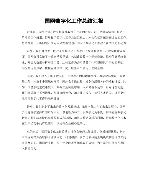 国网数字化工作总结汇报