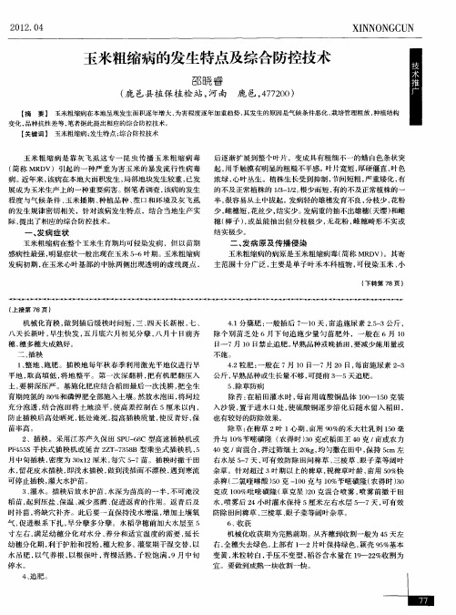 玉米粗缩病的发生特点及综合防控技术