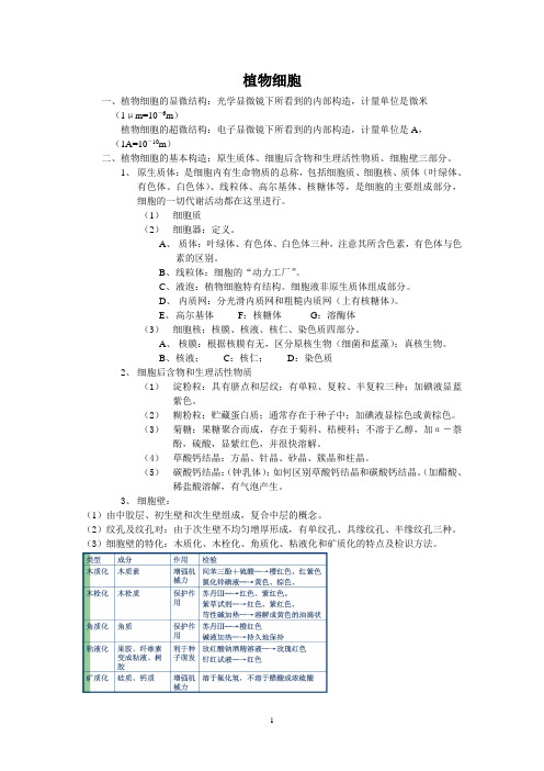 药用植物学与生药学重点整理