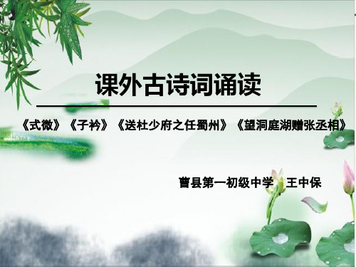 课外古诗词诵读《式微》《子衿》《送杜少府之任蜀州》《望洞庭湖赠张丞相》