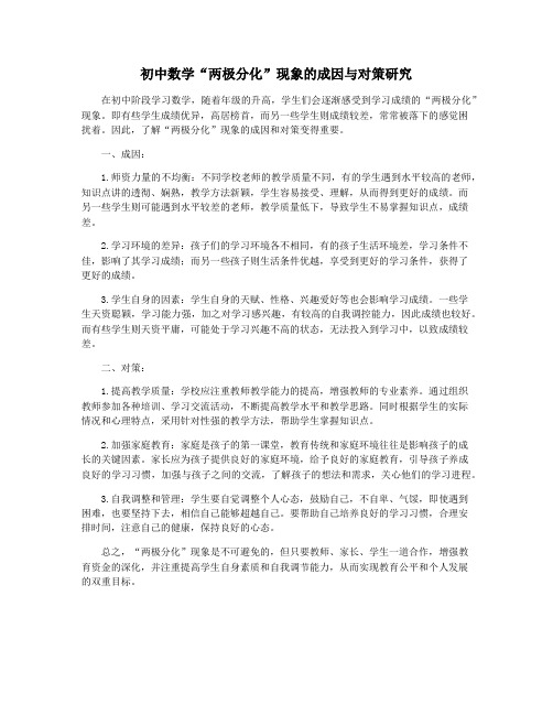 初中数学“两极分化”现象的成因与对策研究