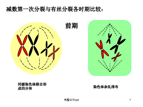 分离定律及自由组合规律解题技巧PPT课件