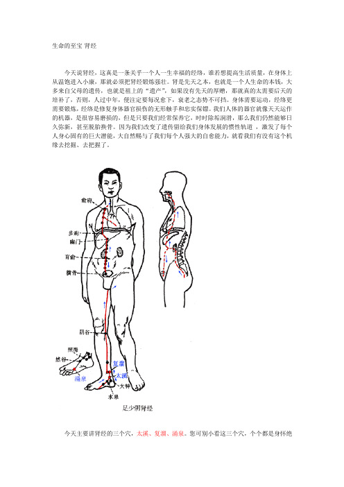 生命的至宝-肾经