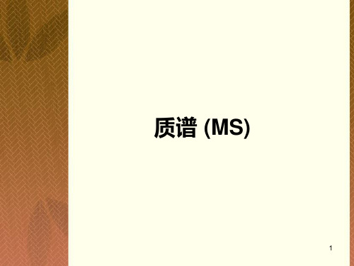 质谱 (MS)