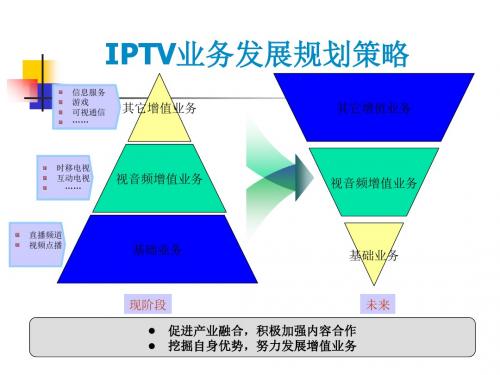 某地区IPTV业务管理及管理知识发展规划(PPT47张)