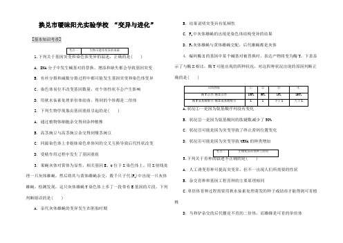 高三生物二轮复习 第一专题二 基因系统变异与进化课前诊断卷