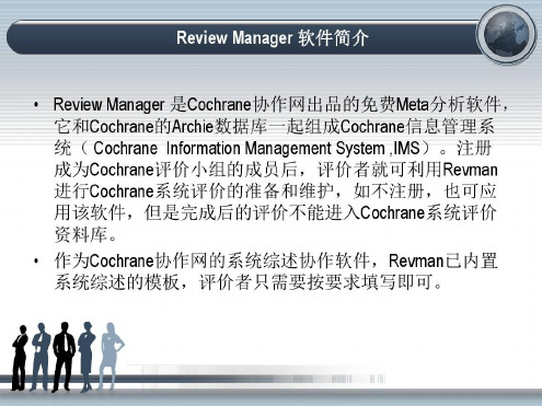 培训学习资料-ReviewManager实例分析_2023年学习资料