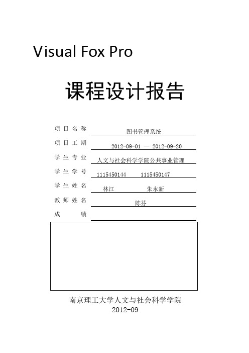 VFP设计报告