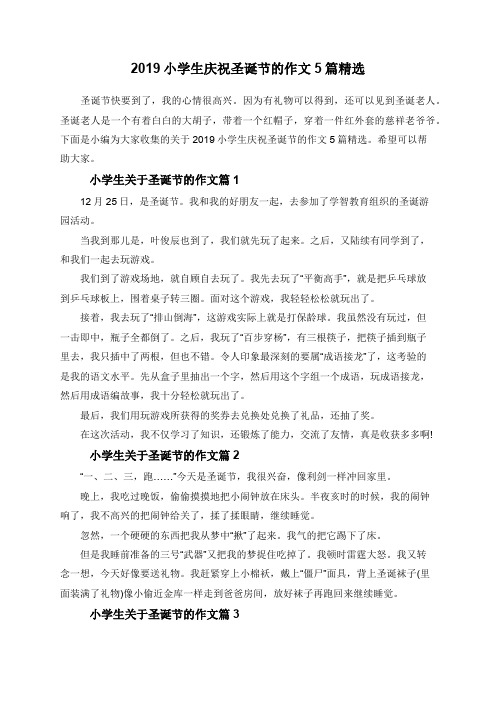 2019小学生庆祝圣诞节的作文5篇精选