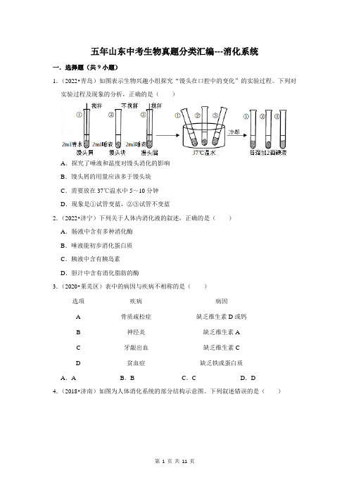 五年山东中考生物真题分类汇编---消化系统