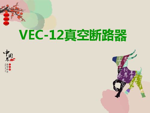 真空断路器VEC-12-630