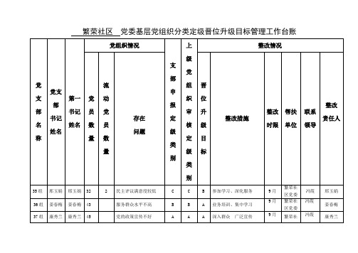 党委基层党组织分类定级晋位升级目标管理工作台账(参考Word)