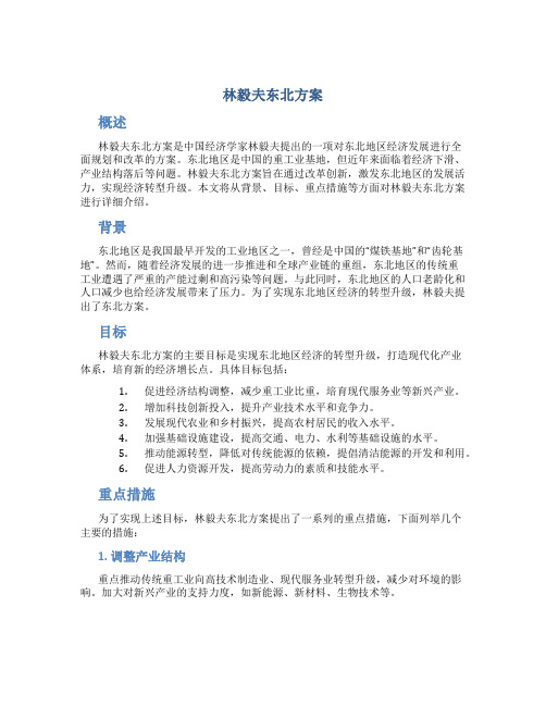 林毅夫东北方案