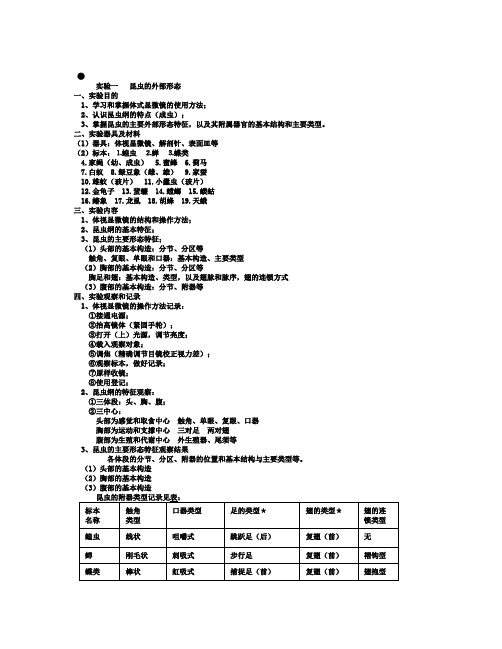 实验一昆虫的外部形态