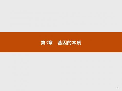 基因的本质 PPT课件4 人教课标版