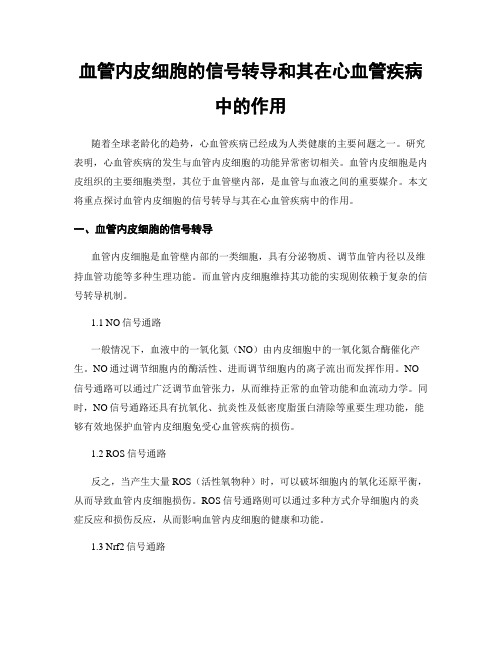 血管内皮细胞的信号转导和其在心血管疾病中的作用