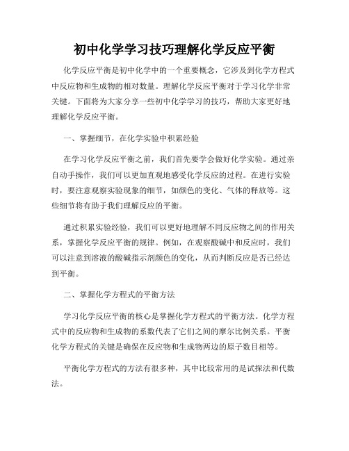 初中化学学习技巧理解化学反应平衡