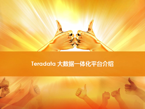 Teradata大数据一体化平台介绍