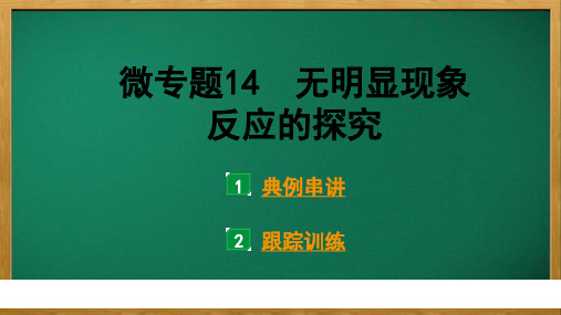 人教版2023中考化学备考精讲题型：微专题14 无明显现象反应的探究