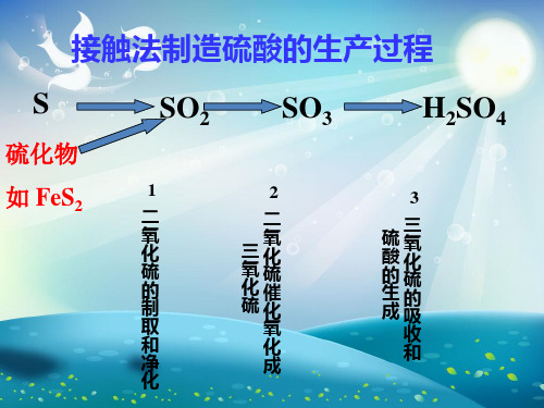 二氧化硫炉气的制造课件