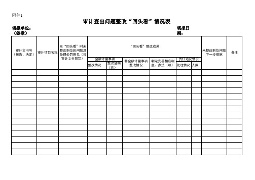 审计查出问题整改“回头看“情况表