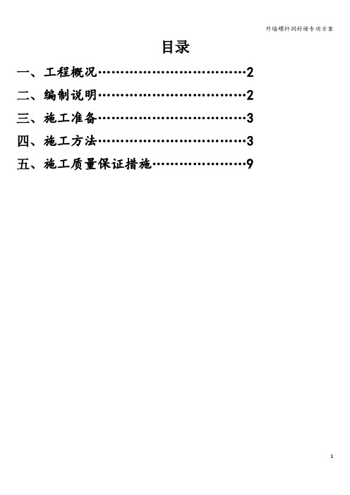 外墙螺杆洞封堵专项方案