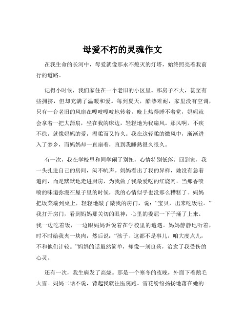 母爱不朽的灵魂作文