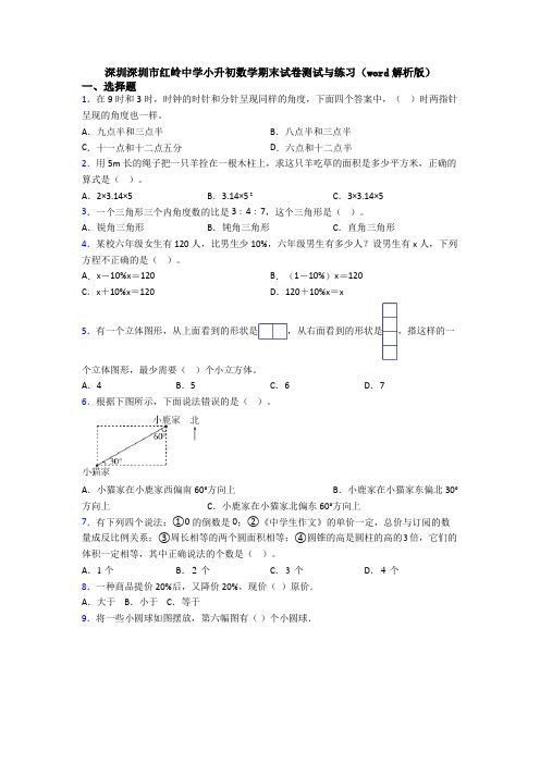 深圳深圳市红岭中学小升初数学期末试卷测试与练习(word解析版)