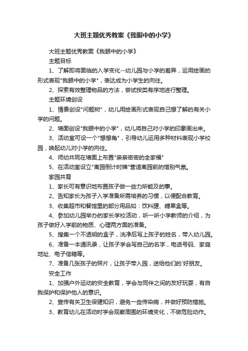 大班主题优秀教案《我眼中的小学》