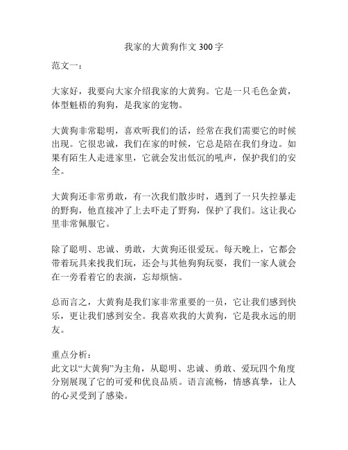 我家的大黄狗作文300字