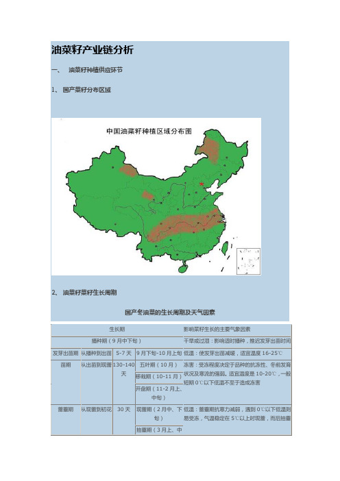 油菜籽产业链分析