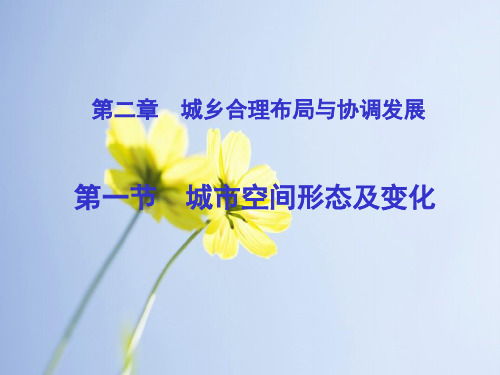 城乡合理布局与协调发展PPT教学课件