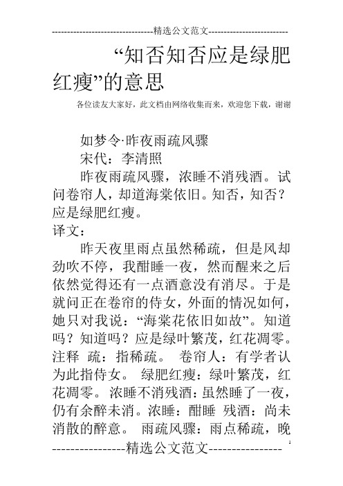 “知否知否应是绿肥红瘦”的意思