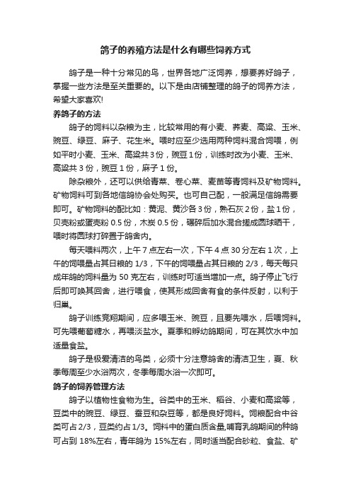 鸽子的养殖方法是什么有哪些饲养方式