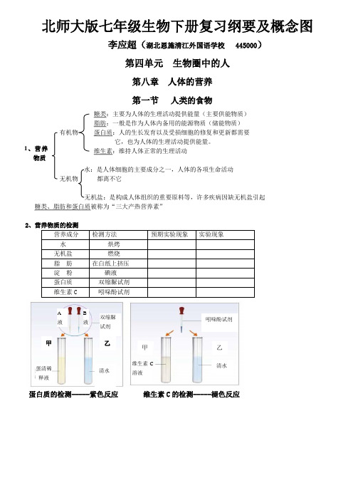 北师大版七年级生物下册复习纲要及概念图